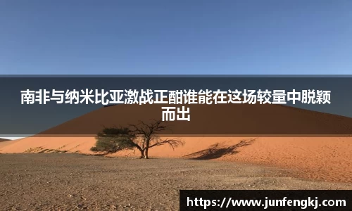 南非与纳米比亚激战正酣谁能在这场较量中脱颖而出