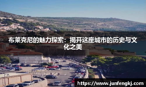 布莱克尼的魅力探索：揭开这座城市的历史与文化之美